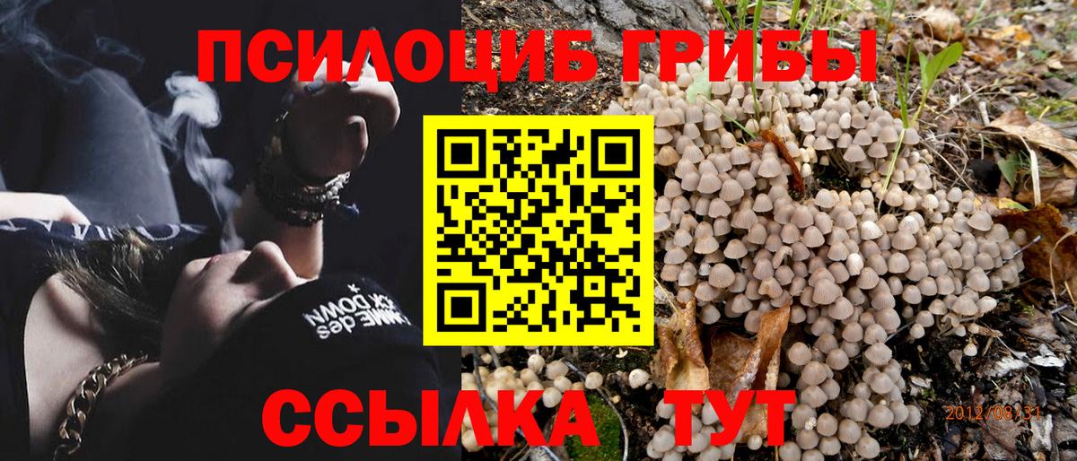 Лсд 25 Родники