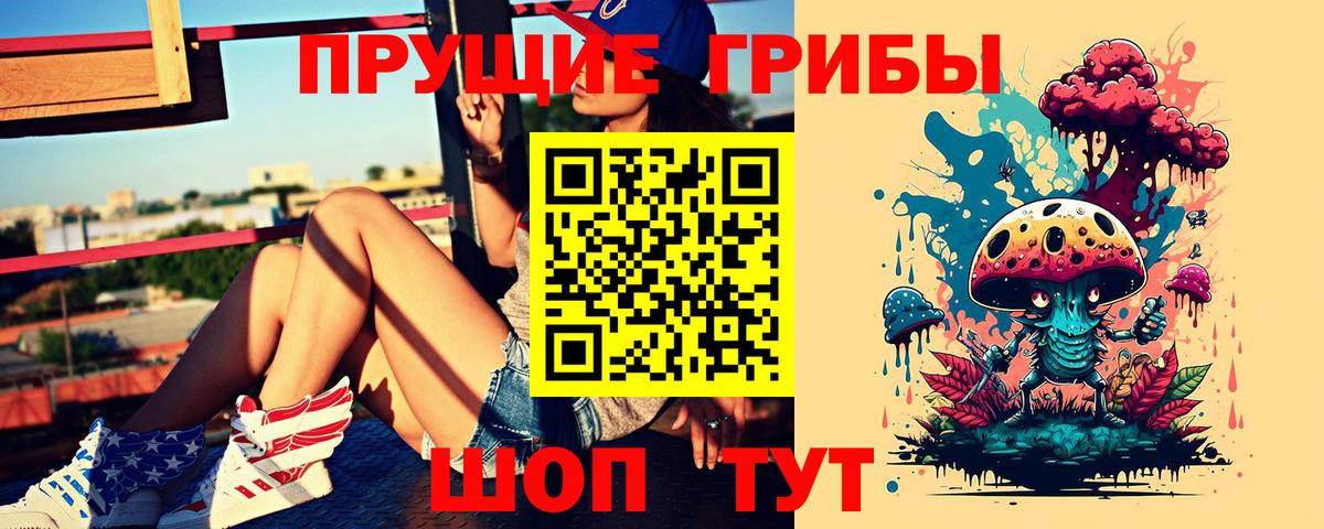 Галлюциногенные грибы Psilocybine cubensis Родники